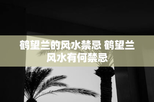 鹤望兰的风水禁忌 鹤望兰风水有何禁忌
