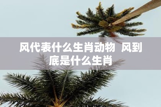 风代表什么生肖动物 风到底是什么生肖
