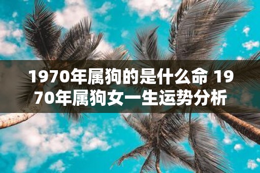 1970年属狗的是什么命 1970年属狗女一生运势分析
