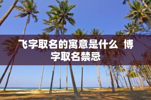 飞字取名的寓意是什么 博字取名禁忌