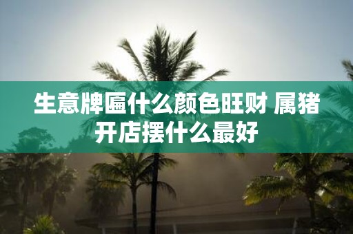 生意牌匾什么颜色旺财 属猪开店摆什么最好