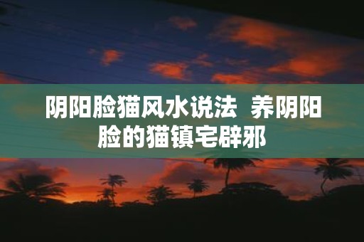 阴阳脸猫风水说法 养阴阳脸的猫镇宅辟邪