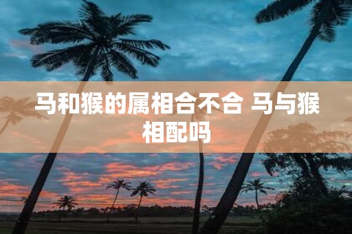 马和猴的属相合不合 马与猴相配吗