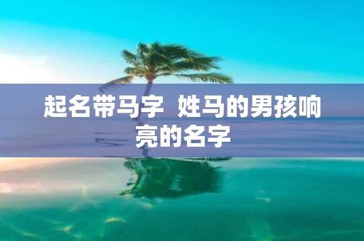 起名带马字 姓马的男孩响亮的名字