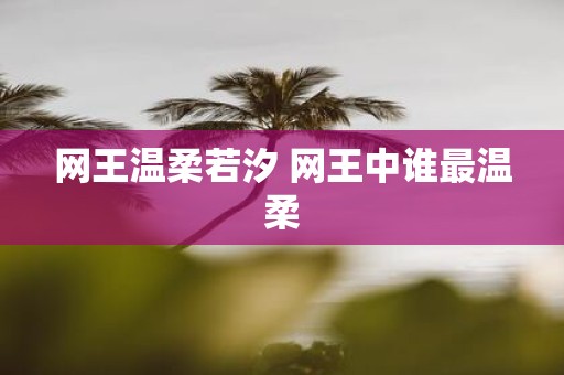 网王温柔若汐 网王中谁最温柔