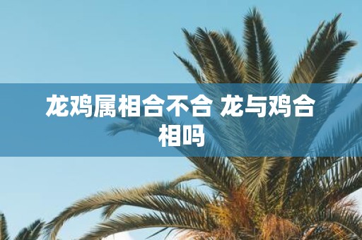 龙鸡属相合不合 龙与鸡合相吗