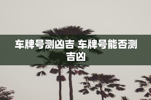 车牌号测凶吉 车牌号能否测吉凶