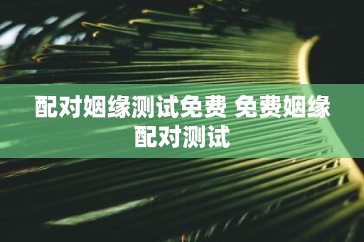 配对姻缘测试免费 免费姻缘配对测试