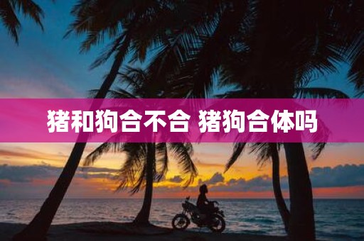 猪和狗合不合 猪狗合体吗