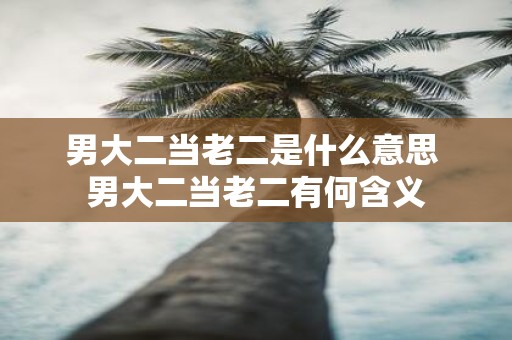 男大二当老二是什么意思 男大二当老二有何含义