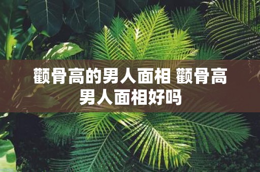 颧骨高的男人面相 颧骨高男人面相好吗