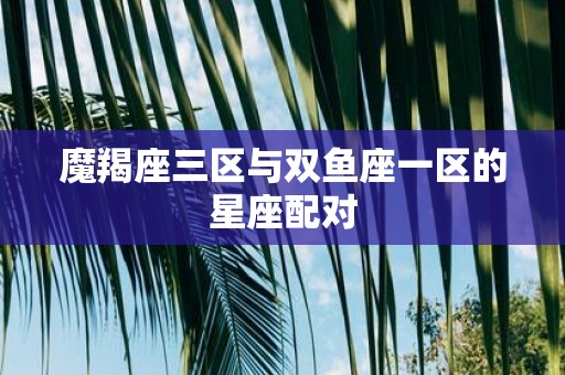 魔羯座三区与双鱼座一区的星座配对