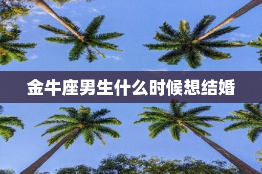 金牛座男生什么时候想结婚