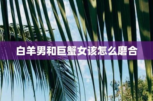 白羊男和巨蟹女该怎么磨合