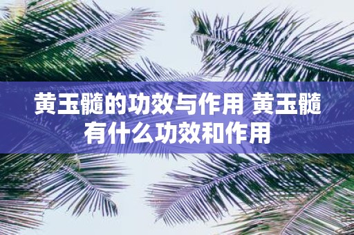 黄玉髓的功效与作用 黄玉髓有什么功效和作用