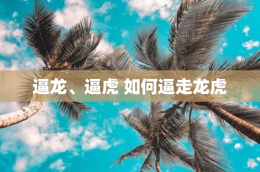 逼龙、逼虎 如何逼走龙虎