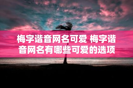 梅字谐音网名可爱 梅字谐音网名有哪些可爱的选项