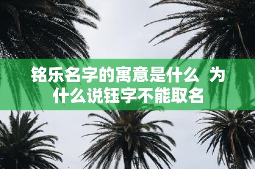 铭乐名字的寓意是什么 为什么说钰字不能取名