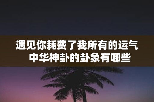 遇见你耗费了我所有的运气 中华神卦的卦象有哪些