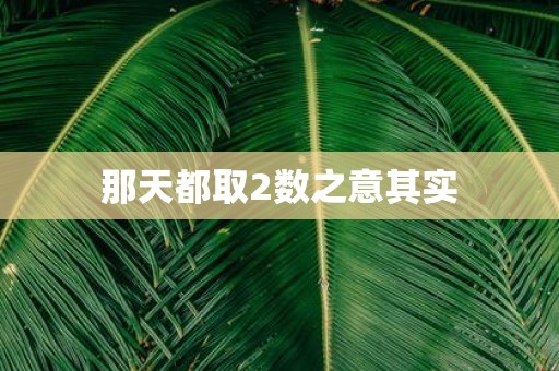 那天都取2数之意其实