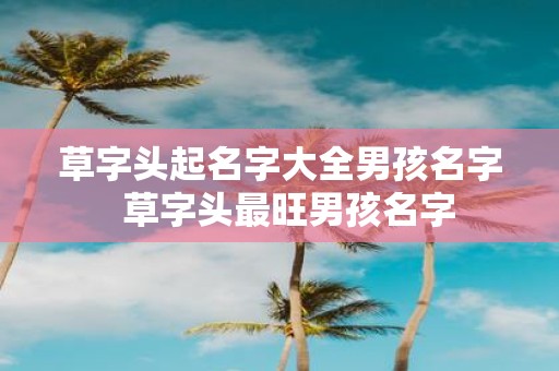 草字头起名字大全男孩名字 草字头最旺男孩名字