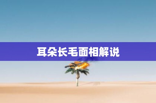 耳朵长毛面相解说
