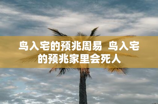 鸟入宅的预兆周易 鸟入宅的预兆家里会死人