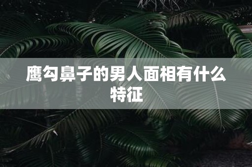 鹰勾鼻子的男人面相有什么特征