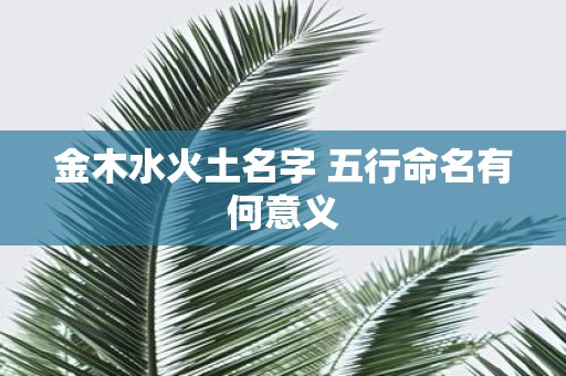金木水火土名字 五行命名有何意义