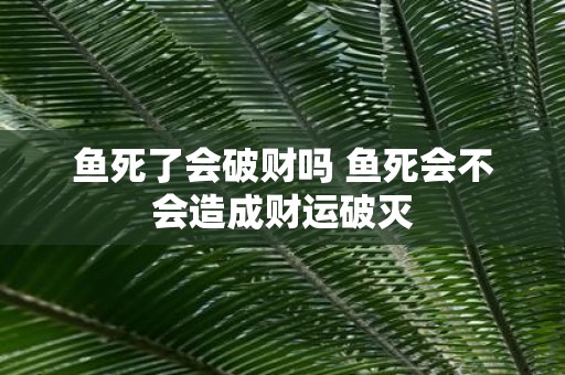 鱼死了会破财吗 鱼死会不会造成财运破灭