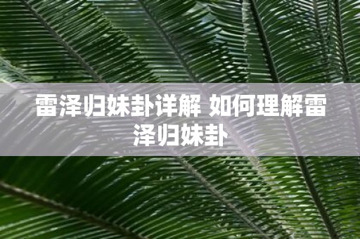 雷泽归妹卦详解 如何理解雷泽归妹卦