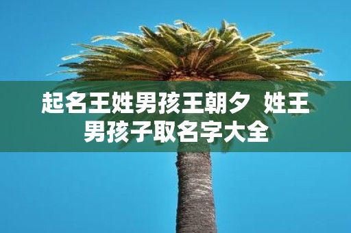 起名王姓男孩王朝夕 姓王男孩子取名字大全