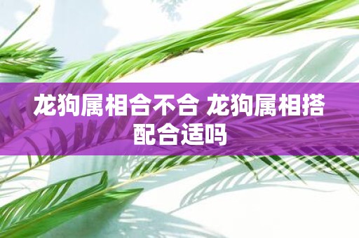 龙狗属相合不合 龙狗属相搭配合适吗