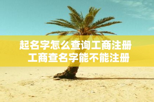起名字怎么查询工商注册 工商查名字能不能注册