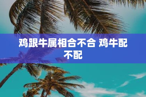 鸡跟牛属相合不合 鸡牛配不配