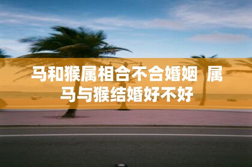 马和猴属相合不合婚姻 属马与猴结婚好不好