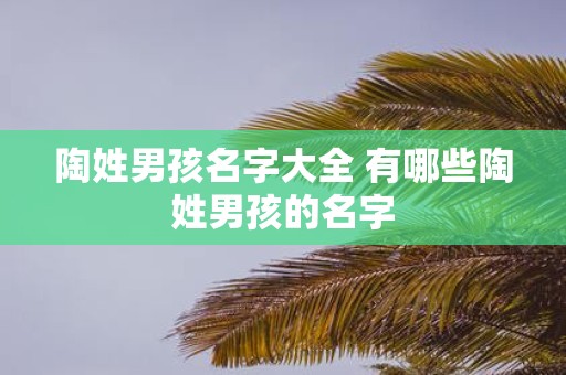 陶姓男孩名字大全 有哪些陶姓男孩的名字