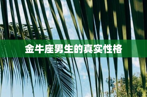 金牛座男生的真实性格