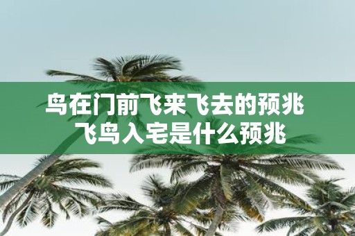 鸟在门前飞来飞去的预兆 飞鸟入宅是什么预兆