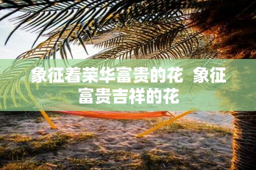 象征着荣华富贵的花 象征富贵吉祥的花