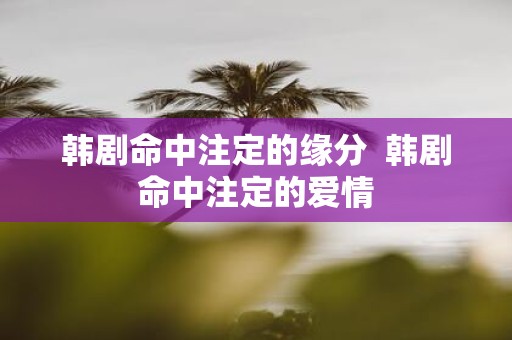 韩剧命中注定的缘分 韩剧命中注定的爱情