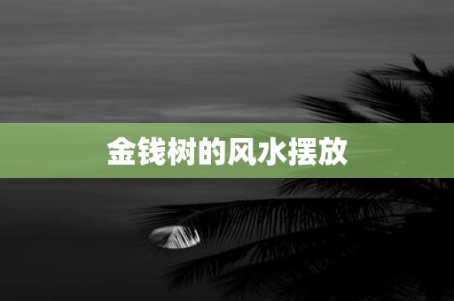 金钱树的风水摆放