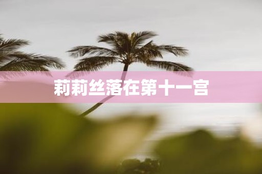 莉莉丝落在第十一宫
