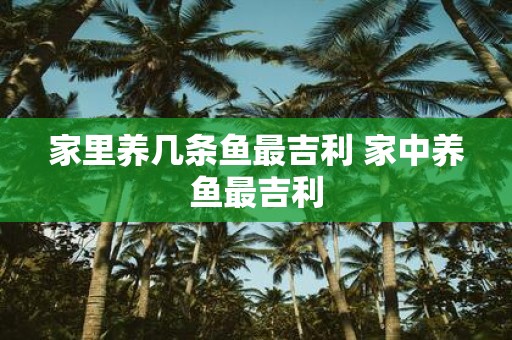 家里养几条鱼最吉利 家中养鱼最吉利