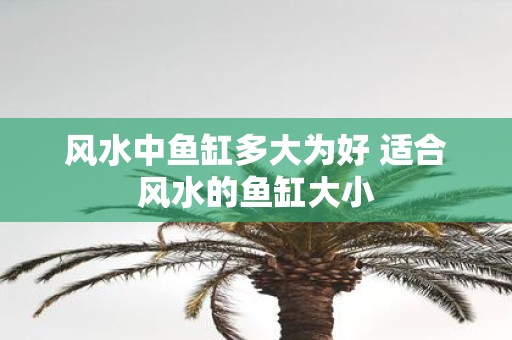 风水中鱼缸多大为好 适合风水的鱼缸大小