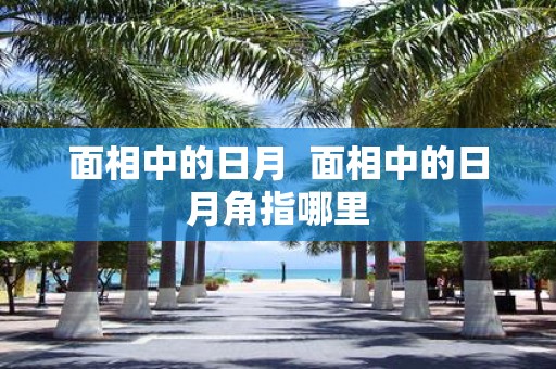 面相中的日月 面相中的日月角指哪里