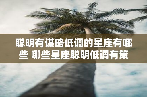 聪明有谋略低调的星座有哪些 哪些星座聪明低调有策略