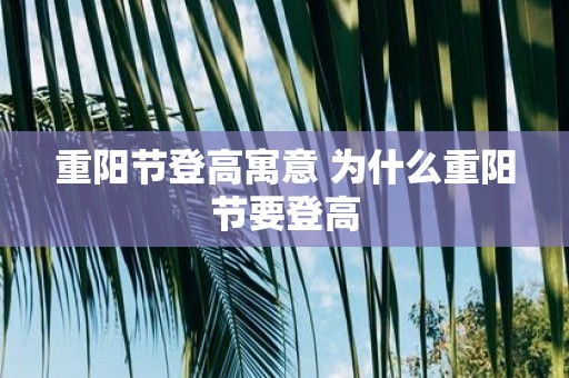 重阳节登高寓意 为什么重阳节要登高