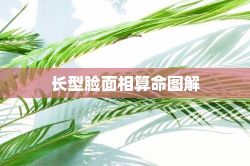 长型脸面相算命图解