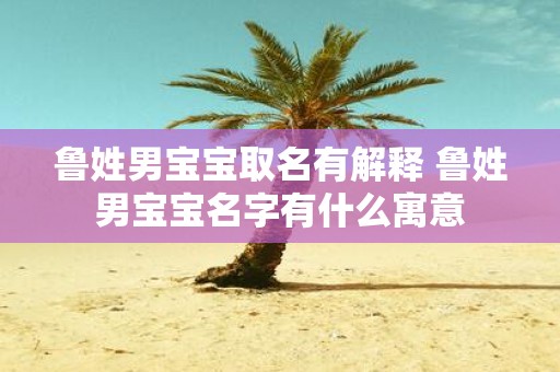 鲁姓男宝宝取名有解释 鲁姓男宝宝名字有什么寓意
